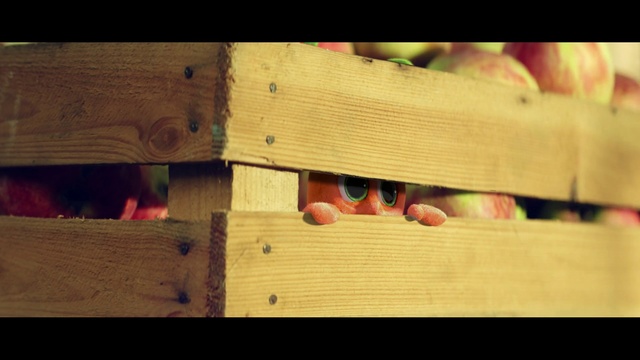Video Reference: Wood, Hardwood, Wood stain, Finger, Lumber, Plywood