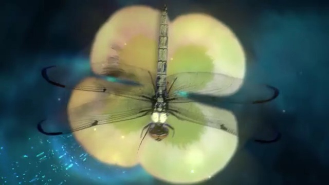 Video Reference: Insect, Macro photography, Organism, Close-up, Invertebrate, Dragonflies and damseflies, Photography, Fly, Membrane-winged insect, Plant