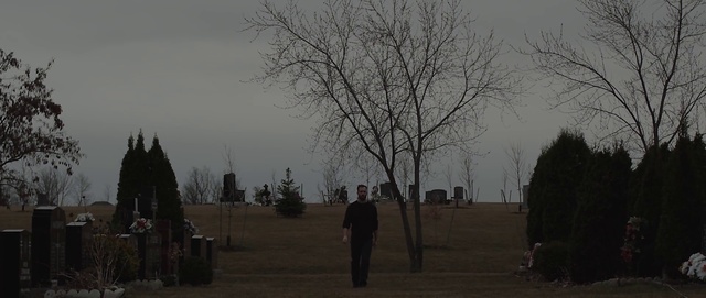 Video Reference: Tree, Atmospheric phenomenon, Sky, Branch, Morning, Woody plant, Atmosphere, Plant, Photography, Landscape