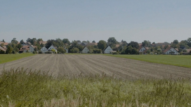 Video Reference: field, agriculture, farm, grassland, plain, rural area, grass family, crop, land lot, prairie