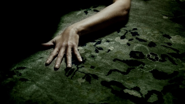 Video Reference: Green, Hand, Finger, Arm, Leaf, Darkness, Human, Grass, Tree, Gesture