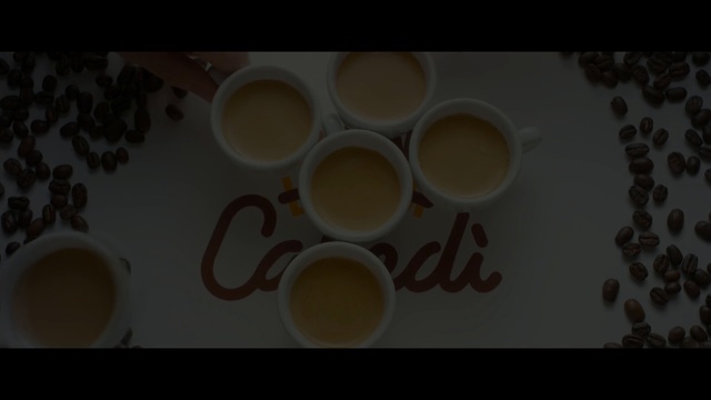 Video Reference: text, circle, font, organism, still life photography, darkness, macro photography, computer wallpaper, screenshot, space, Person