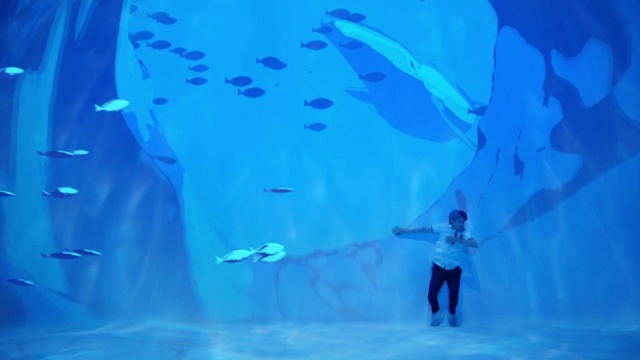 Video Reference: Blue, Aqua, Electric blue, Leisure, Building