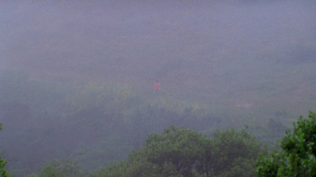 Video Reference: sky, hill station, mist, highland, haze, forest, ridge, vegetation, fog, tree