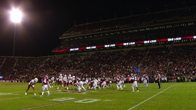 Video Reference: Sports, Sport venue, Stadium, Team sport, Ball game, Player, Crowd, Team, Soccer-specific stadium, Tournament