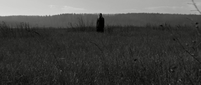 Video Reference: field, landscape, tree, sky, hay, grass, rural, farm, country, forest, countryside, meadow, Person