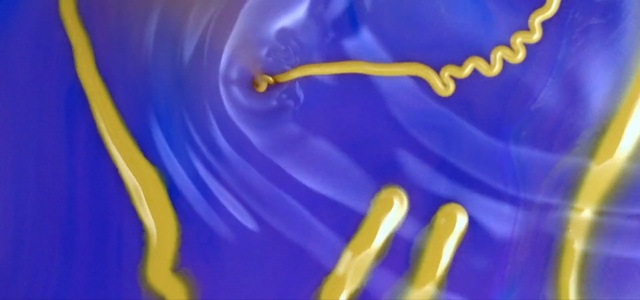 Video Reference: Blue, Yellow, Water, Majorelle blue, Organism, Macro photography, Electric blue, Purple, Violet, Close-up