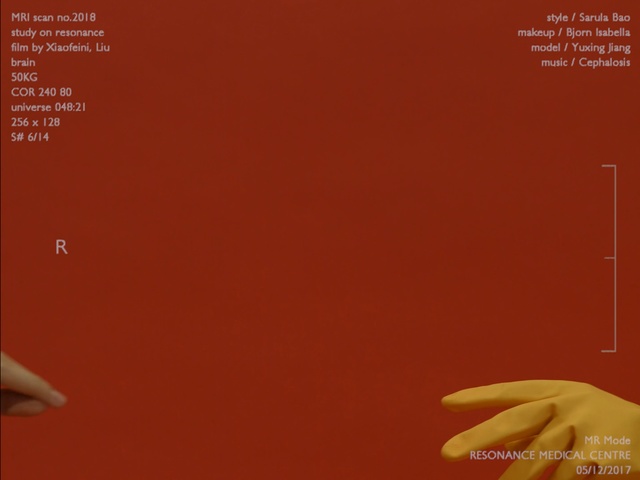 Video Reference: red, text, orange, font, line, screenshot, computer wallpaper, hand, graphics, angle