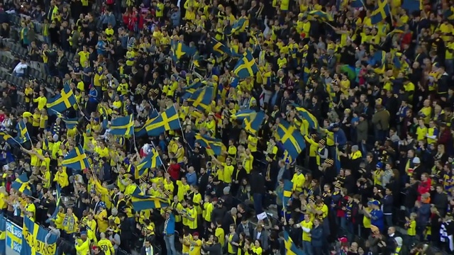 Video Reference: Fan, Crowd, Product, People, Sport venue, Stadium, Audience, Yellow, Cheering, Player