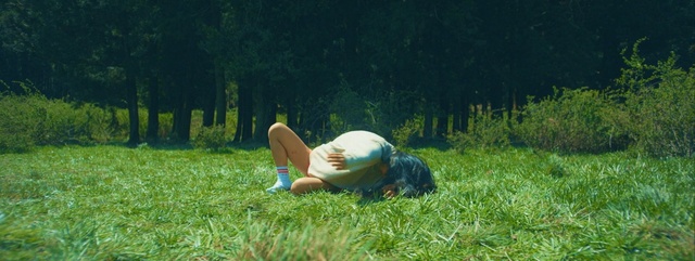 Video Reference: green, grass, nature, plant, meadow, grassland, tree, field, leaf, lawn