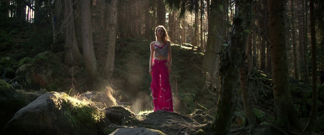 Video Reference: Woodland, Forest, Nature, Old-growth forest, Tree, Natural environment, Photograph, Jungle, Trunk, Wilderness