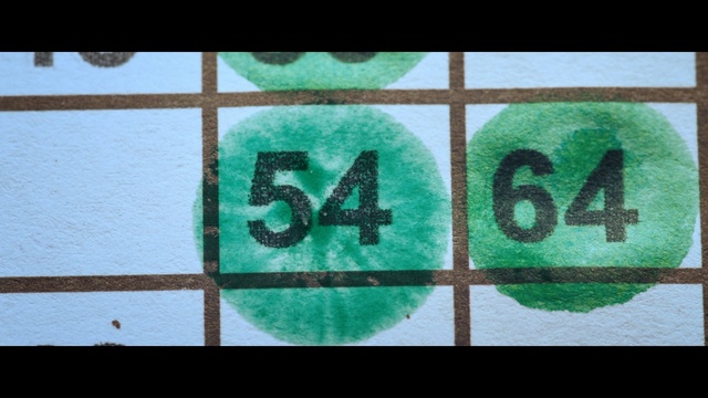 Video Reference: Green, Text, Turquoise, Font, Aqua, Teal, Number, Symbol, Line, Pattern