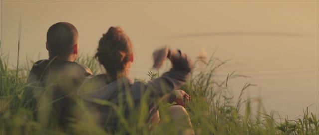 Video Reference: Atmospheric phenomenon, Grass, Grass family, Wildlife, Fun, Adaptation, Grassland, Plant, Photography, Happy