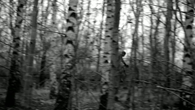 Video Reference: tree, woodland, forest, nature, black and white, ecosystem, black, woody plant, branch, monochrome photography, Person