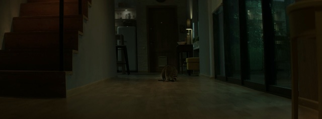 Video Reference: room, cell, interior, home