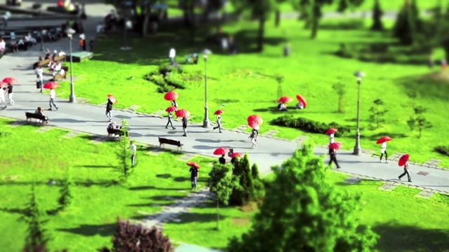 Video Reference: grass, plant, lawn, tree, leisure, recreation, landscape, park, race