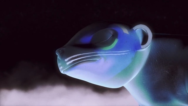 Video Reference: macro photography, close up, organism, computer wallpaper, marine biology, graphics, transparency and translucency, still life photography, electric blue