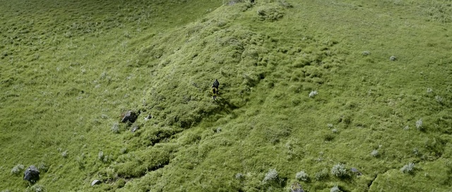 Video Reference: Vegetation, Grass, Grassland, Pasture, Algae, Plant community, Plant, Soil, Groundcover, Green algae