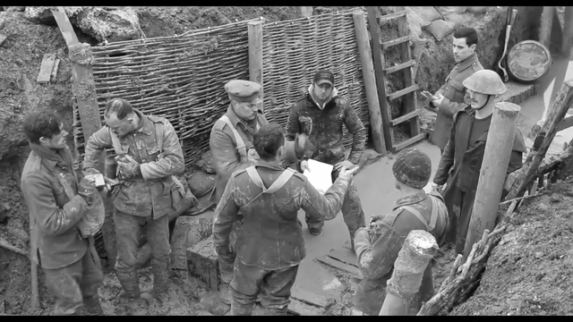 Video Reference: photograph, black and white, monochrome photography, monochrome, tree, history, troop
