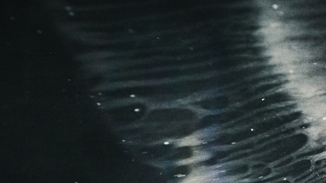 Video Reference: black, water, atmosphere, black and white, darkness, night, sky, astronomical object, monochrome, universe, Person