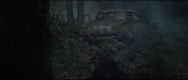 Video Reference: darkness, screenshot, atmosphere, forest, computer wallpaper, midnight, jungle, landscape, night