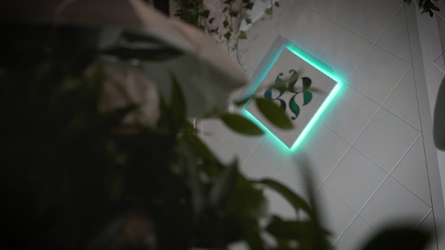 Video Reference: Green, Black, Light, Leaf, Font, Finger, Organism, Technology, Photography, Cool