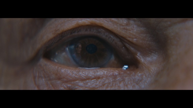 Video Reference: Iris, Eye, Face, Skin, Close-up, Eyebrow, Eyelash, Organ, Brown, Wrinkle, Indoor, Looking, Sitting, Orange, Cat, Made, Dark, White, Black, Large, Food, Red, Laying, Eyes