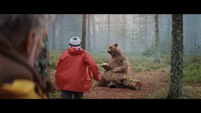 Video Reference: Wildlife, Adaptation, Organism, Brown bear, Human, Grizzly bear, Forest, Photo caption, Screenshot