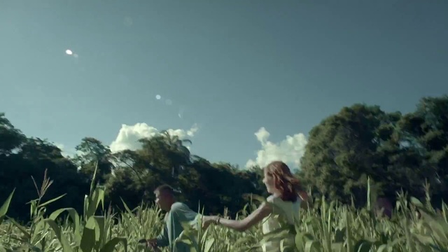 Video Reference: People in nature, Vegetation, Sky, Grass, Grass, Field, Happy, Meadow, Crop, Photography, Person