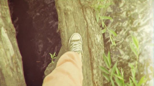 Video Reference: Tree, Footwear, Sunlight, Grass, Leg, Leaf, Organism, Shoe, Plant, Trunk, Person, Sitting, Food, White, Standing, Black, Brown, Bird, Holding, Laying, Man, Feet