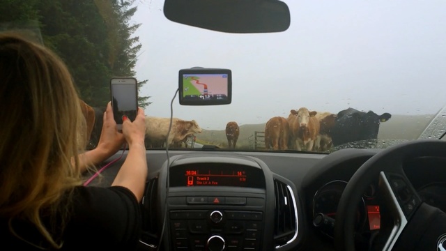 Video Reference: Vehicle, Car, Motor vehicle, Driving, Electronics, Technology, Steering wheel, Windshield, Rear-view mirror