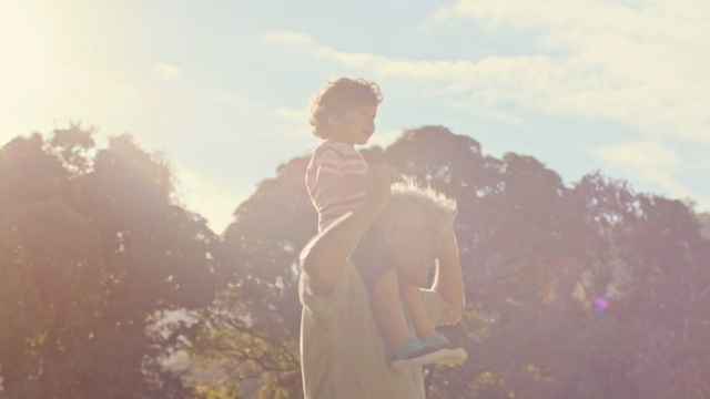 Video Reference: photograph, sky, sunlight, photography, light, morning, girl, cloud, backlighting, grass