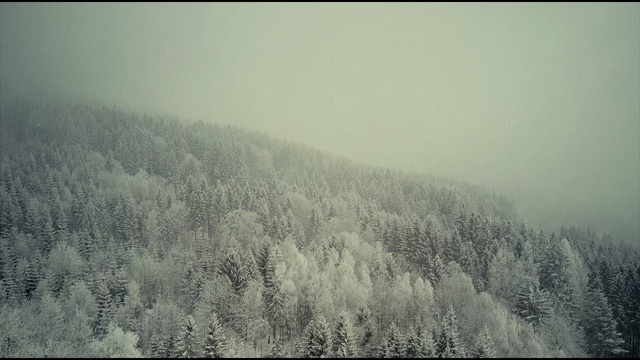 Video Reference: Atmospheric phenomenon, Winter, Mist, Freezing, Sky, Snow, Atmosphere, Fog, Frost, Haze