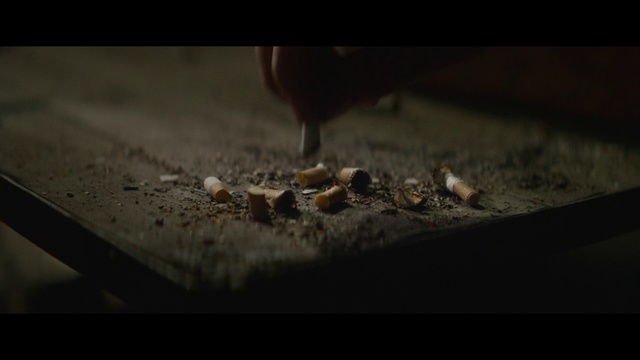 Video Reference: Black, Still life photography, Brown, Darkness, Close-up, Photography, Organism, Macro photography, Font, Soil