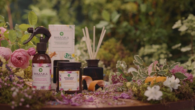 Video Reference: Product, Beauty, Flower, Plant, Flower Arranging, Floristry, Floral design, Bottle, Hamper, Glass bottle