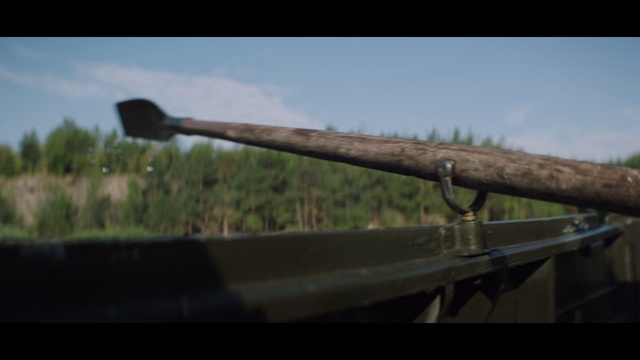 Video Reference: Grass family, Tree, Plant