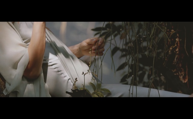 Video Reference: vertebrate, girl, screenshot, flower, human, human body, arm, darkness, scene, computer wallpaper