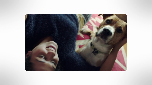 Video Reference: Canidae, Dog, Dog breed, Nose, Snout, Puppy love, Carnivore, Mouth, Puppy, Companion dog