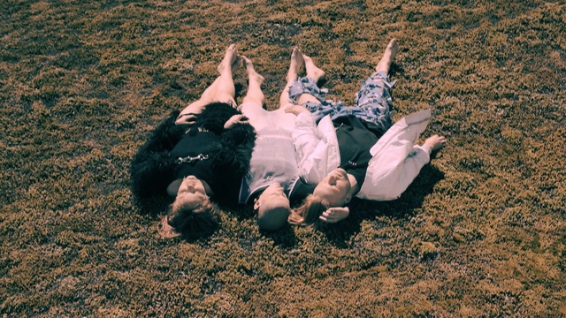 Video Reference: photograph, grass, fun, photography, plant, soil, girl, tree