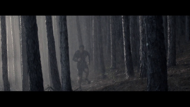 Video Reference: Black, Darkness, Nature, Natural environment, Monochrome photography, Tree, Woodland, Snapshot, Forest, Black-and-white
