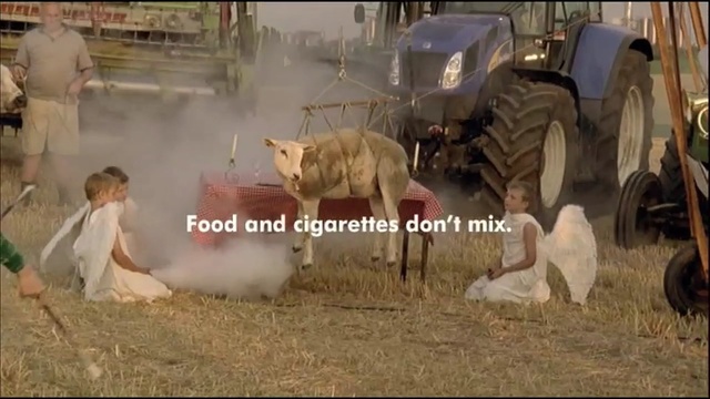 Video Reference: cattle like mammal, hay, livestock, herd