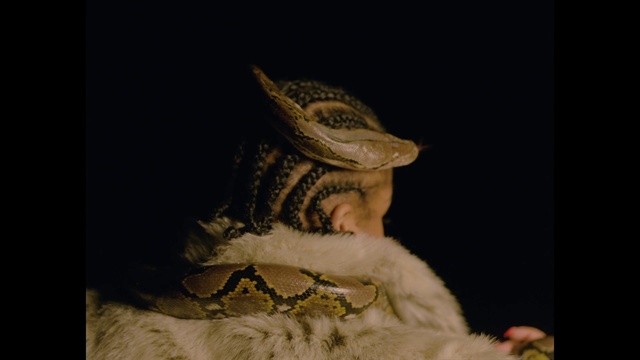 Video Reference: Jaw, Reptile, Alligator, Photography, Dinosaur, Velociraptor, Art