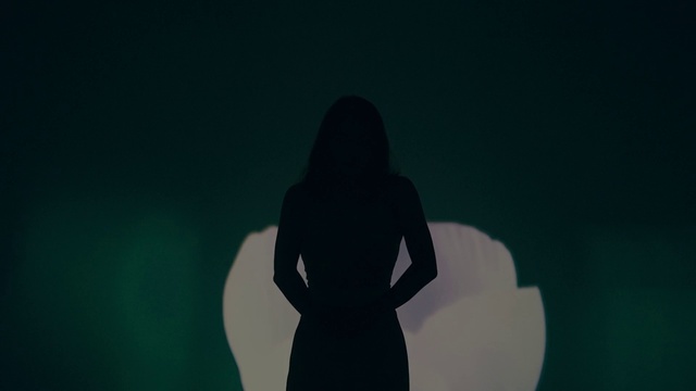 Video Reference: Flash photography, Neck, Gesture, Sky, Art, Black hair, Long hair, Electric blue, Happy, Darkness
