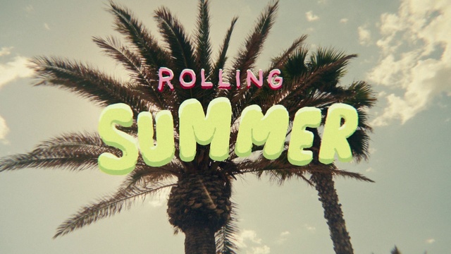 Video Reference: Palm tree, Text, Tree, Font, Arecales, Plant, Attalea speciosa, Woody plant, Date palm, Organism