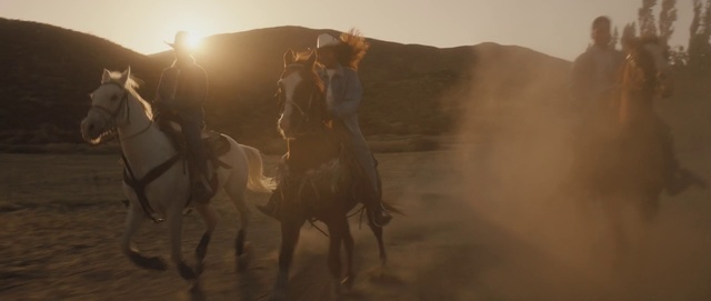 Video Reference: Horse, Atmospheric phenomenon, Landscape, Cowboy, Dust, Working animal, Mustang horse, Livestock, Wrangler, Desert