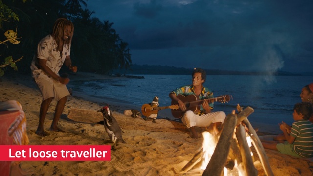 Video Reference: Campfire, Human, Bonfire, Fun, Landscape, Fire, Tourism, Screenshot, Vacation, Person