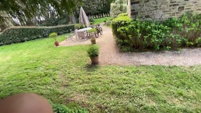 Video Reference: Lawn, Grass, Property, Yard, Garden, Land lot, Grass family, Backyard, Shrub, Landscaping