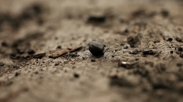 Video Reference: Soil, Close-up, Rock, Photography, Sand, Macro photography, Colorfulness