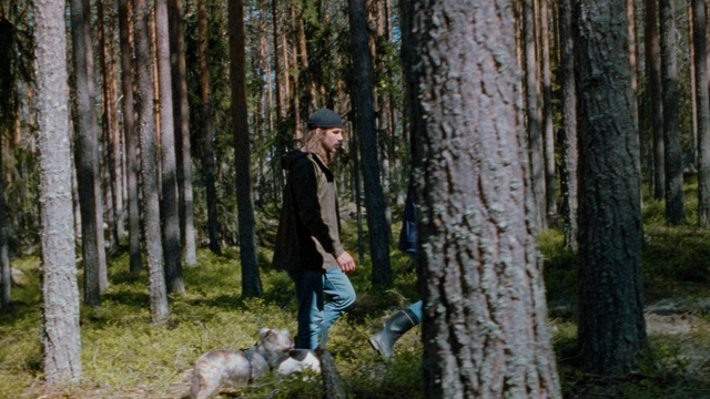 Video Reference: tree, woodland, woody plant, forest, wilderness, plant, old growth forest, path, trunk, biome, Person