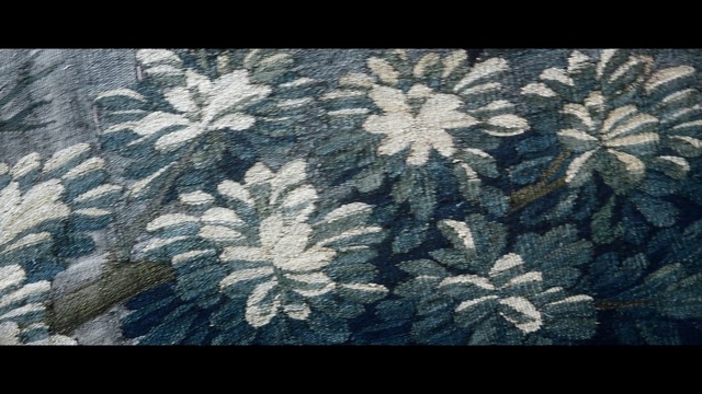 Video Reference: Pattern, Textile, Design, Leaf, Tree, World, Lace, Plant, Art, Photo, Sitting, Small, Bed, Covered, Bird, Black, Man, Blurry, White, Flower, Text, Motif, Fabric
